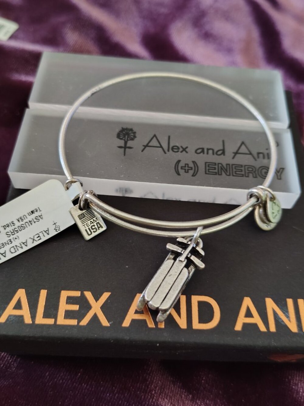 Alex and Ani TEAM USA Sled Bracelet in silver 806